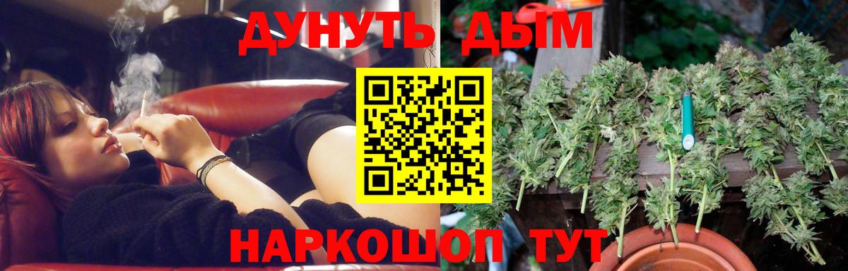 Шишки марихуана ГИДРОПОН  Вход с VPN  Канабис OG Kush  Каменка  Марихуана MAZAR 