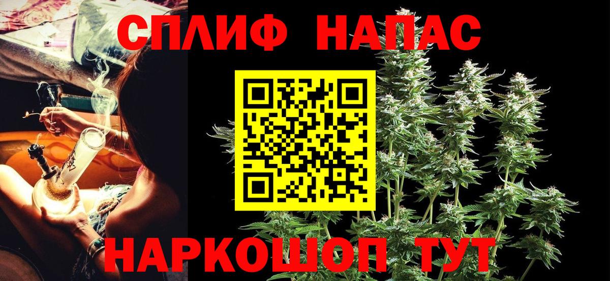 Канабис сатива Каменка